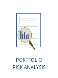 portfolio risk